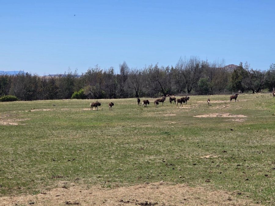 8 Bedroom Property for Sale in Bethlehem Rural Free State